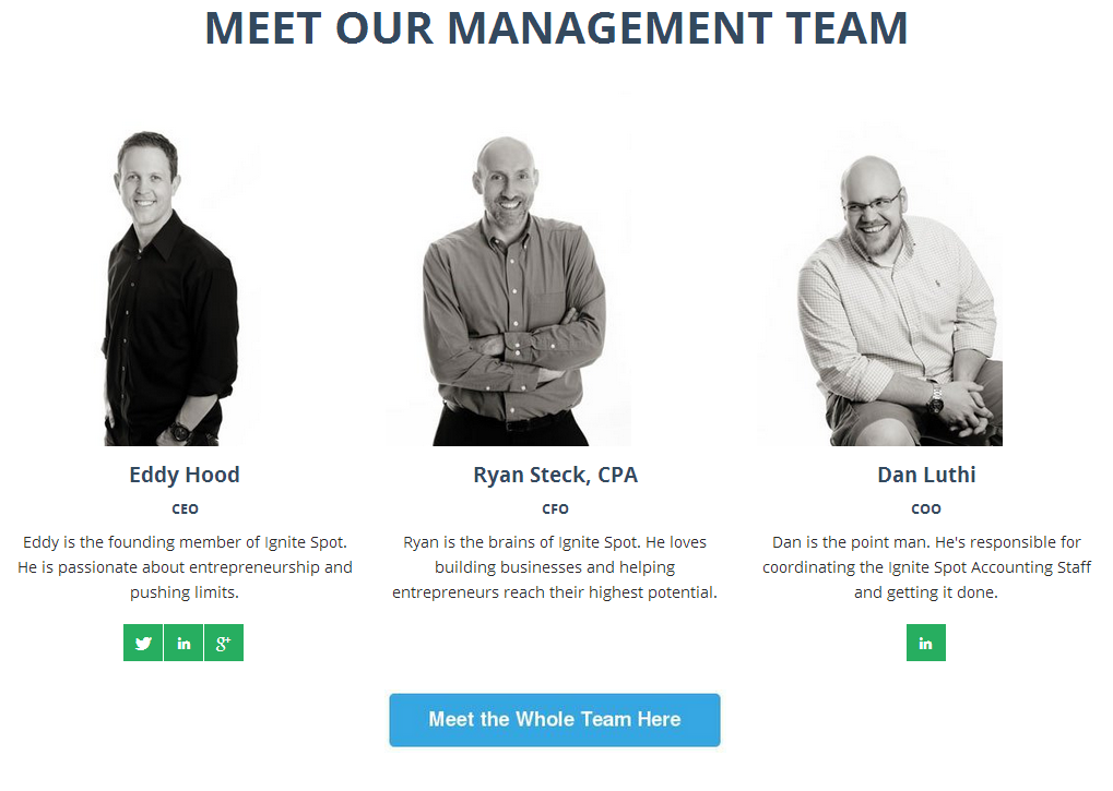 Accounting team