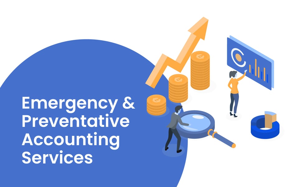 Emergency & Preventative Accounting Services